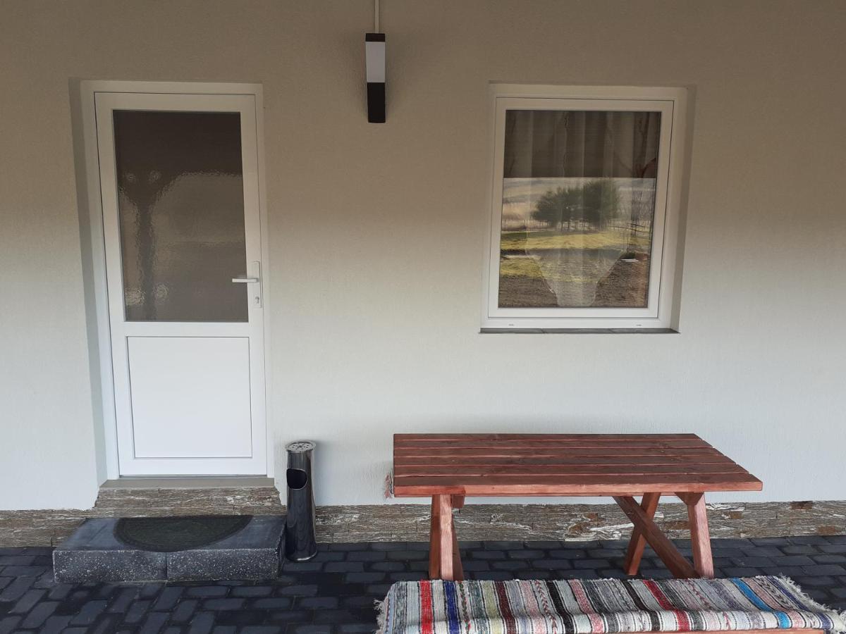 Kacso Apartma Ocna de Sus Εξωτερικό φωτογραφία