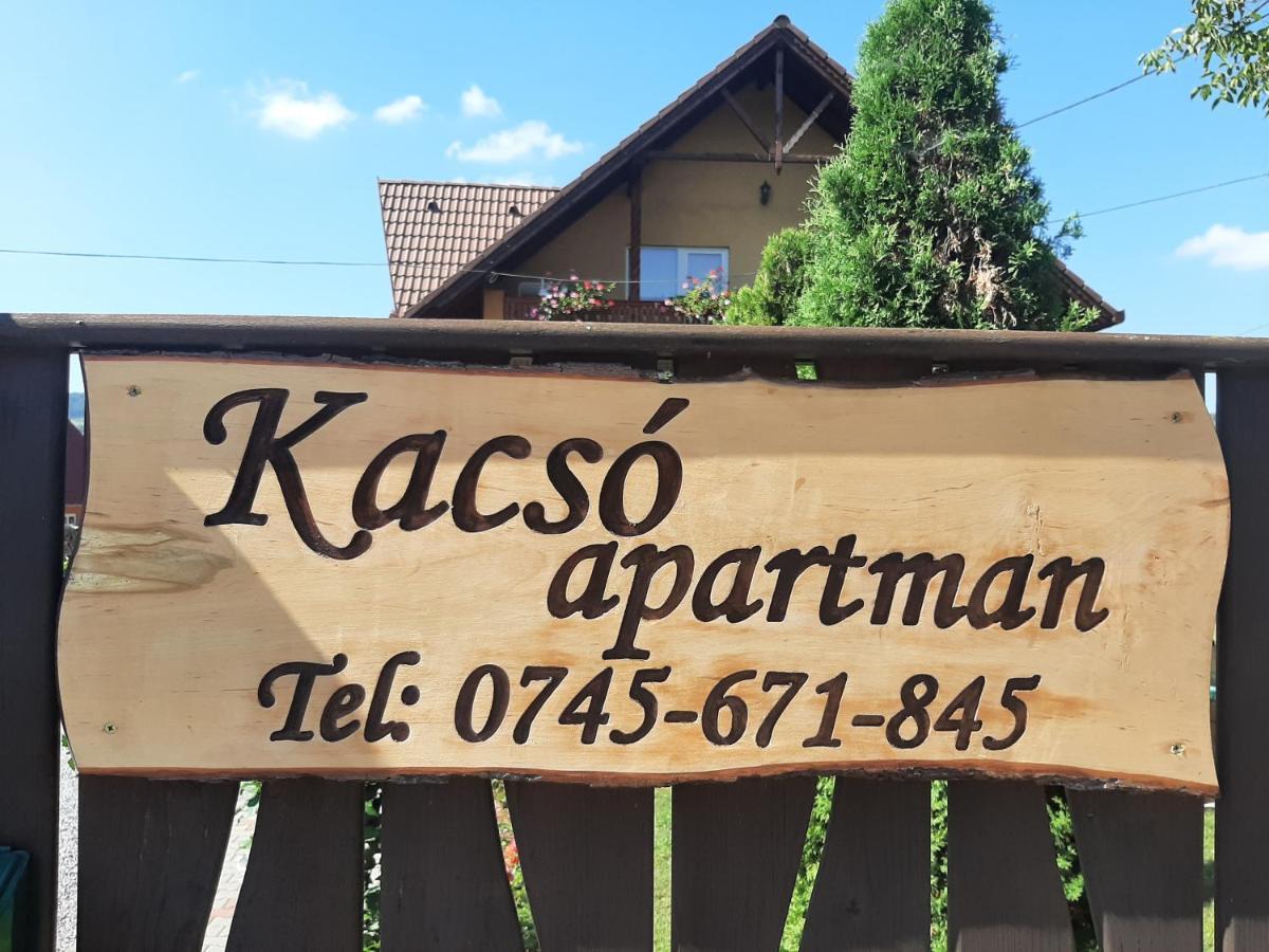 Kacso Apartma Ocna de Sus Εξωτερικό φωτογραφία